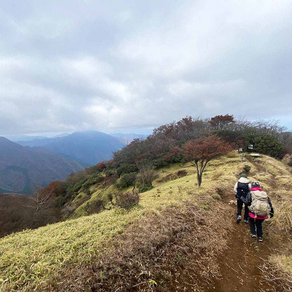 蛭ヶ岳から下山開始
