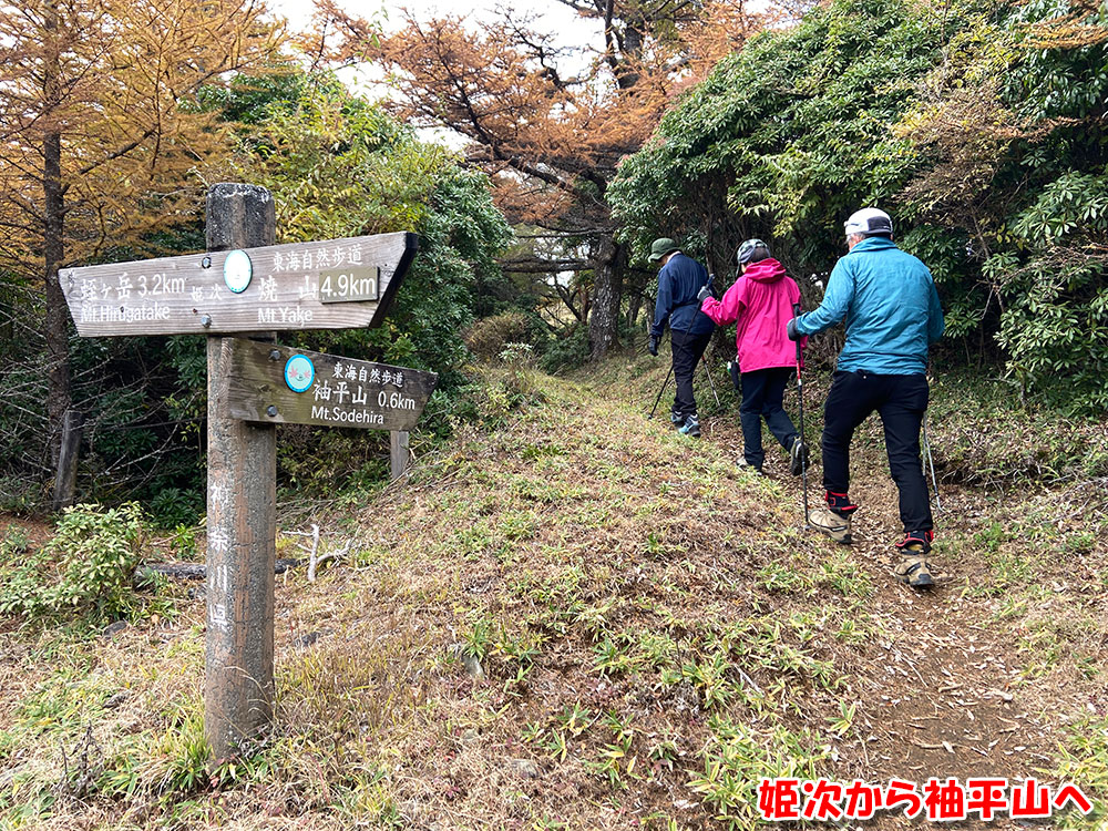 【蛭ヶ岳】姫次から袖平山へ