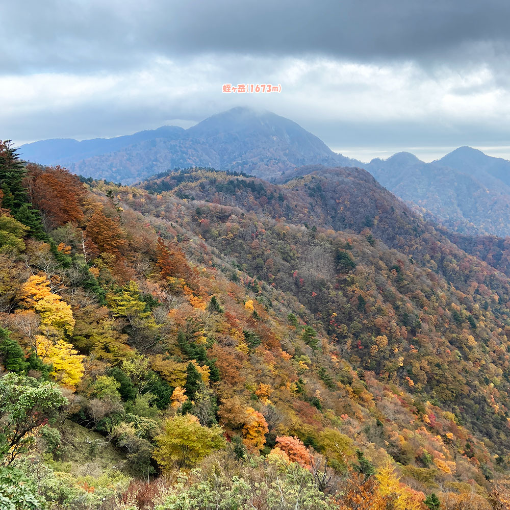 袖平山から蛭ヶ岳と紅葉を眺望!