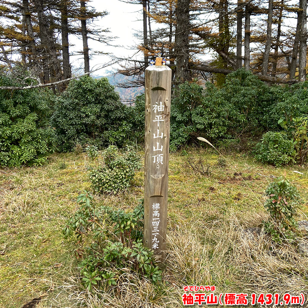 袖平山(標高 1431.9m)