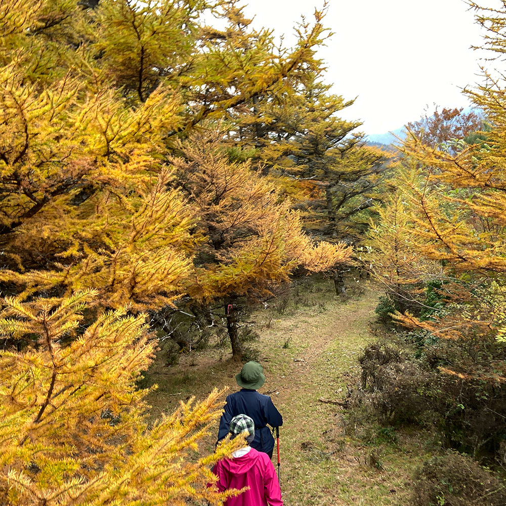 【蛭ヶ岳】袖平山から姫次へ