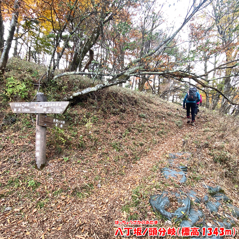 【蛭ヶ岳】姫次から釜立林道ゲート駐車場へ