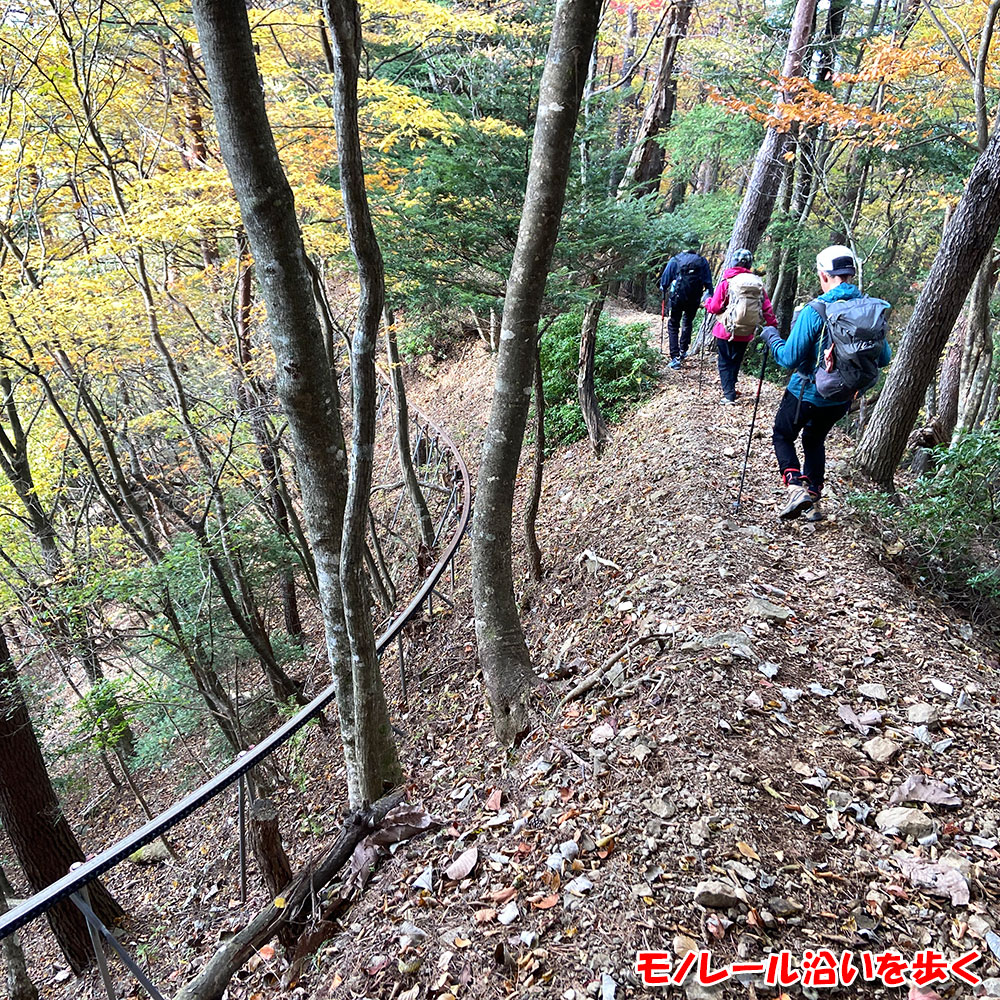 【蛭ヶ岳】八丁坂ノ頭分岐から釜立林道ゲート駐車場へ