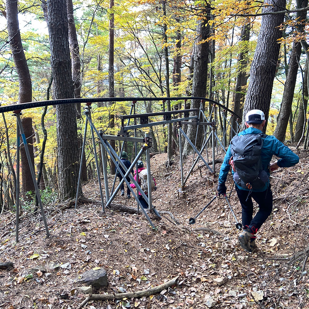 【蛭ヶ岳】八丁坂ノ頭分岐から釜立林道ゲート駐車場へ