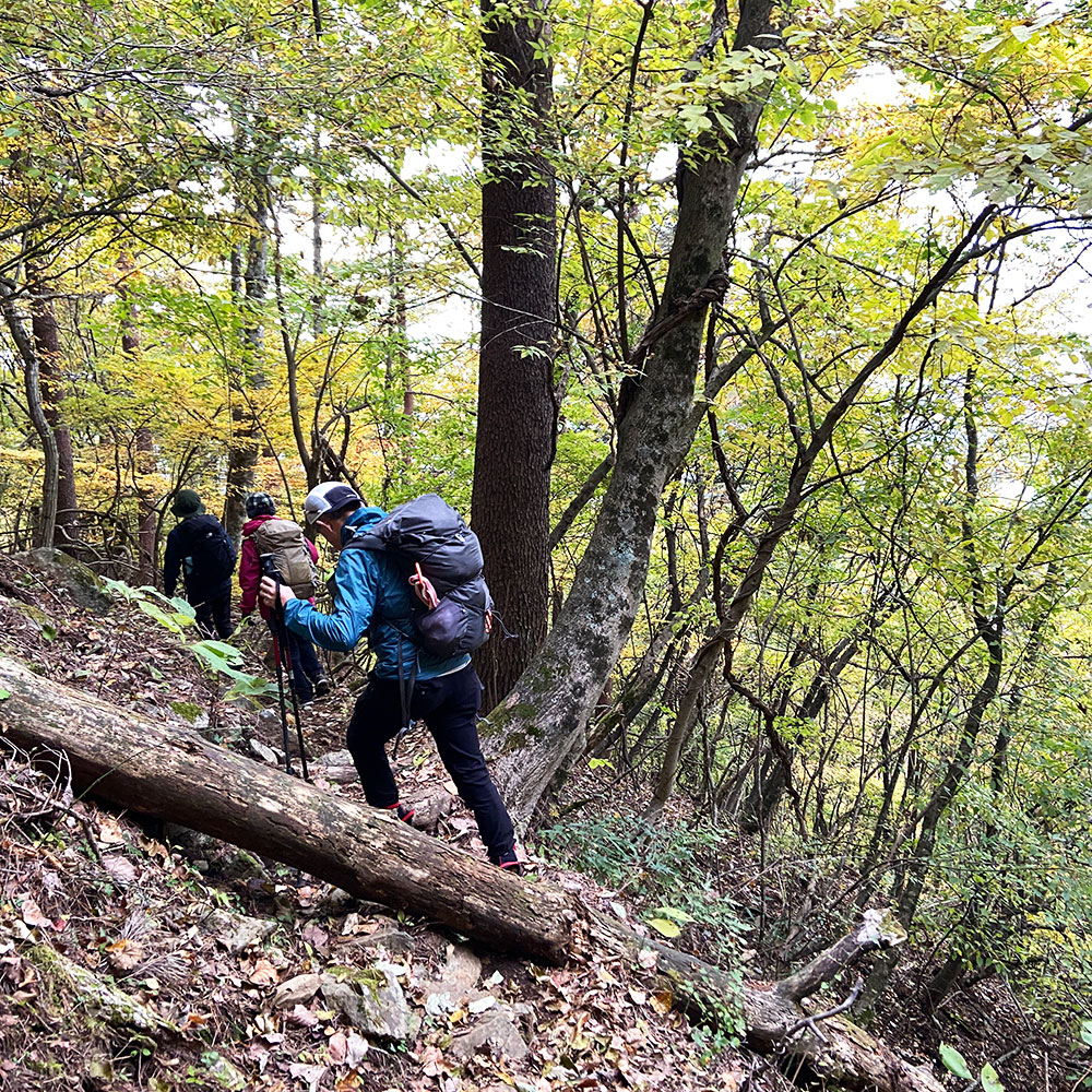 【蛭ヶ岳】八丁坂ノ頭分岐から釜立林道ゲート駐車場へ