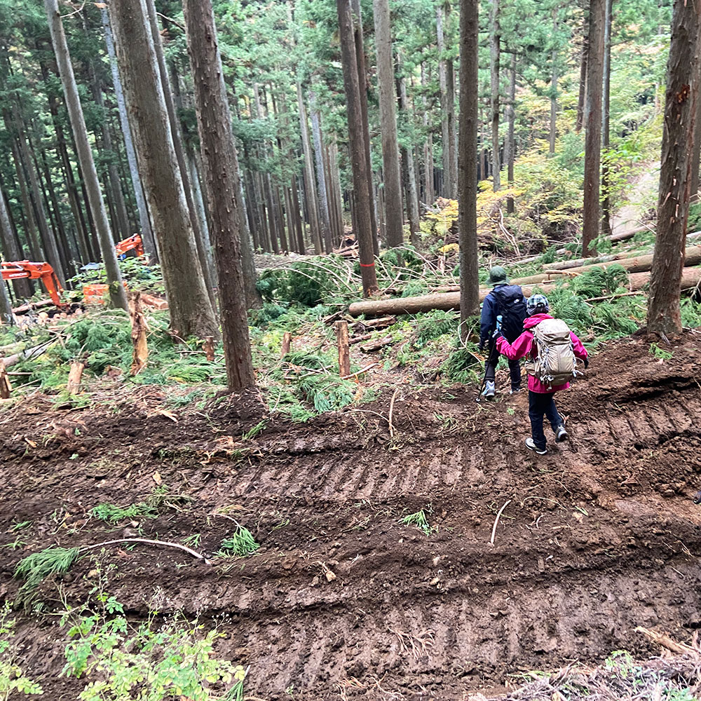 【蛭ヶ岳】八丁坂ノ頭分岐から釜立林道ゲート駐車場へ