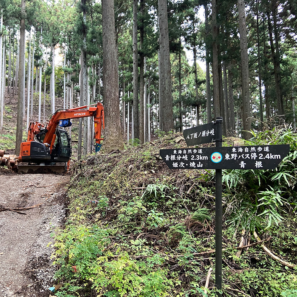 【蛭ヶ岳】八丁坂ノ頭分岐から釜立林道ゲート駐車場へ