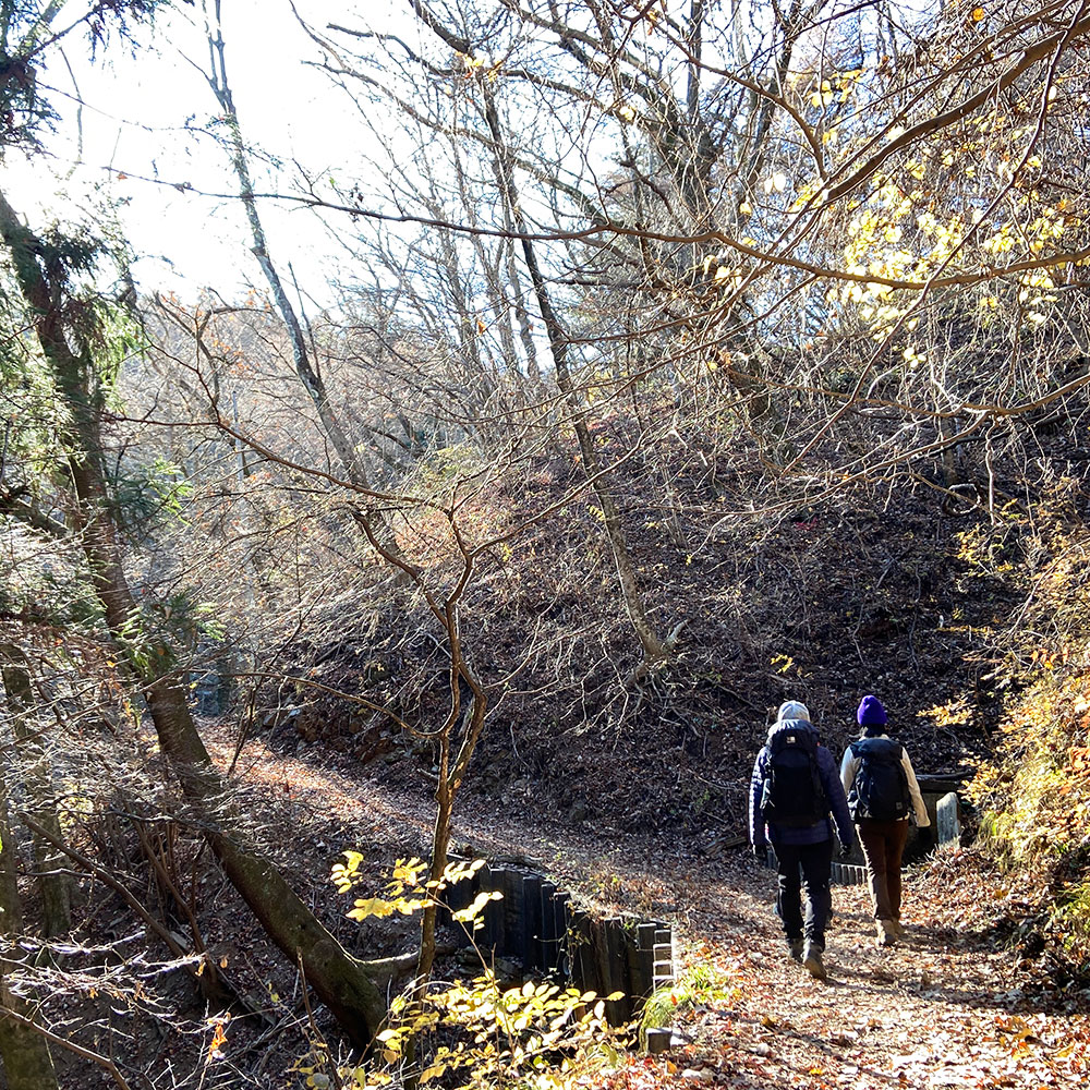 陣場山平坦コースから陣馬山へ向かう