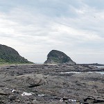 自動車隊で行く神奈川県は横須賀＆三浦半島への日帰り旅行探検！