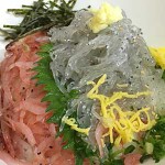 沼津港のせきので生しらすと生桜えびの駿河丼を堪能