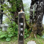 西丹沢・檜洞丸のシロヤシオ、今年は本当に「10年に一度の当たり年」だった？