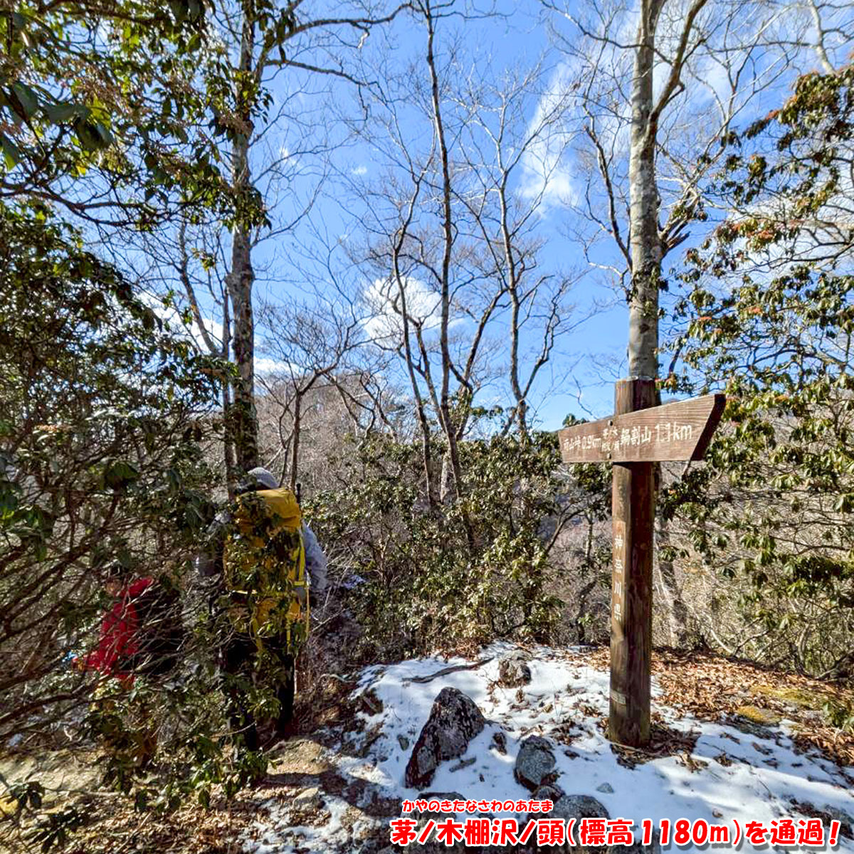 茅ノ木棚沢ノ頭(標高 1180m)を通過
