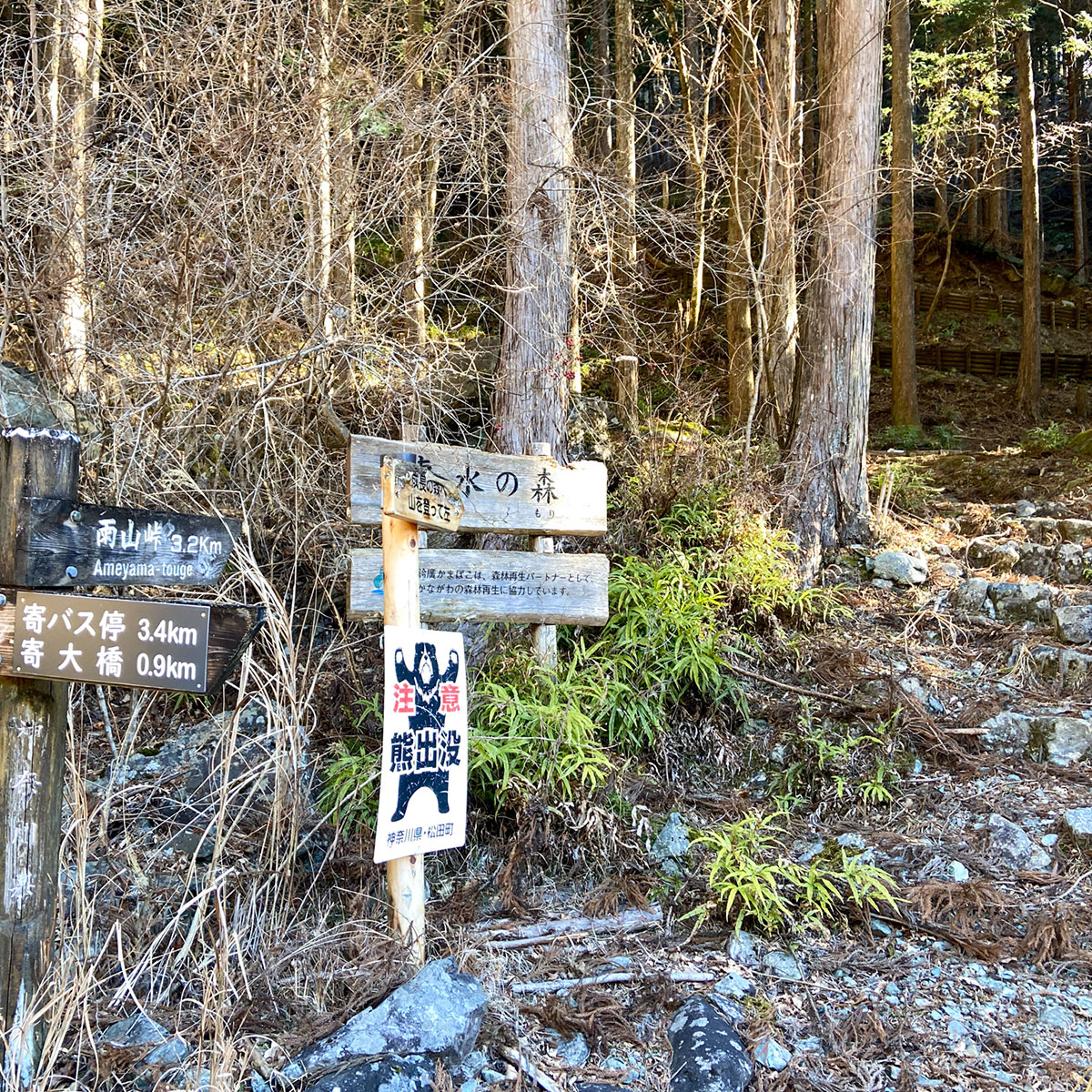 【鍋割山】林道から登山道へ