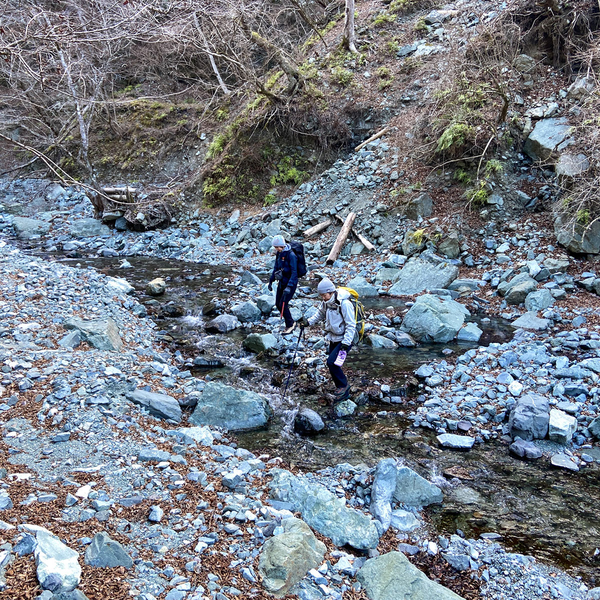 【鍋割山】沢を何度か渡渉した!