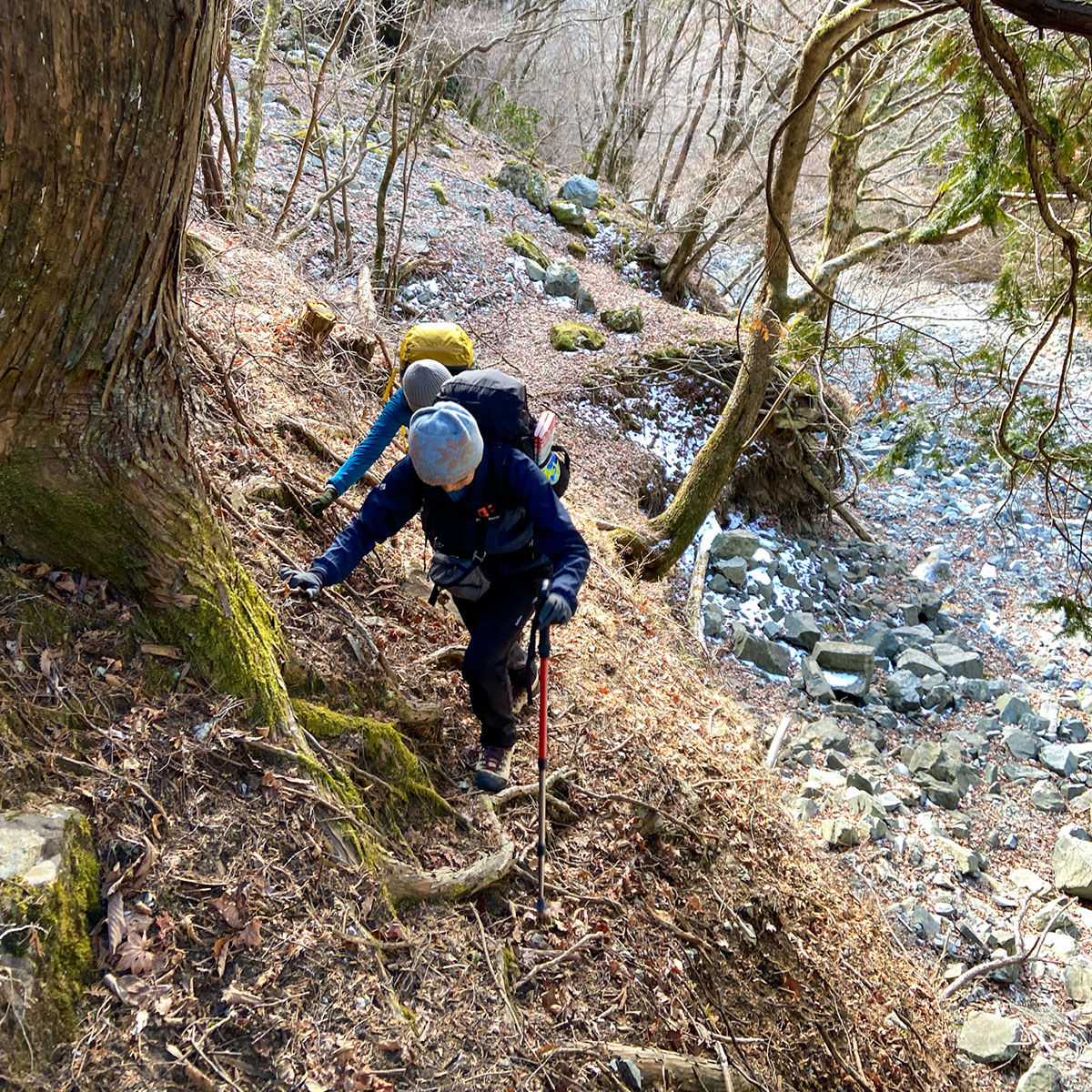 コシバ沢経由で鍋割峠へ