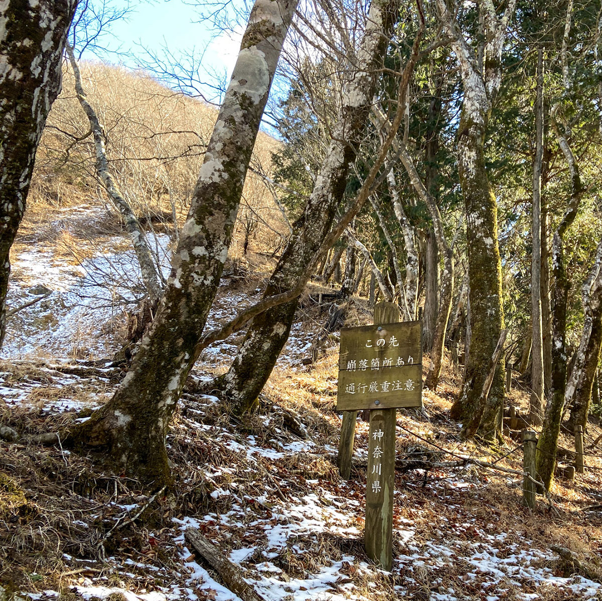 鍋割峠から鍋割山へ