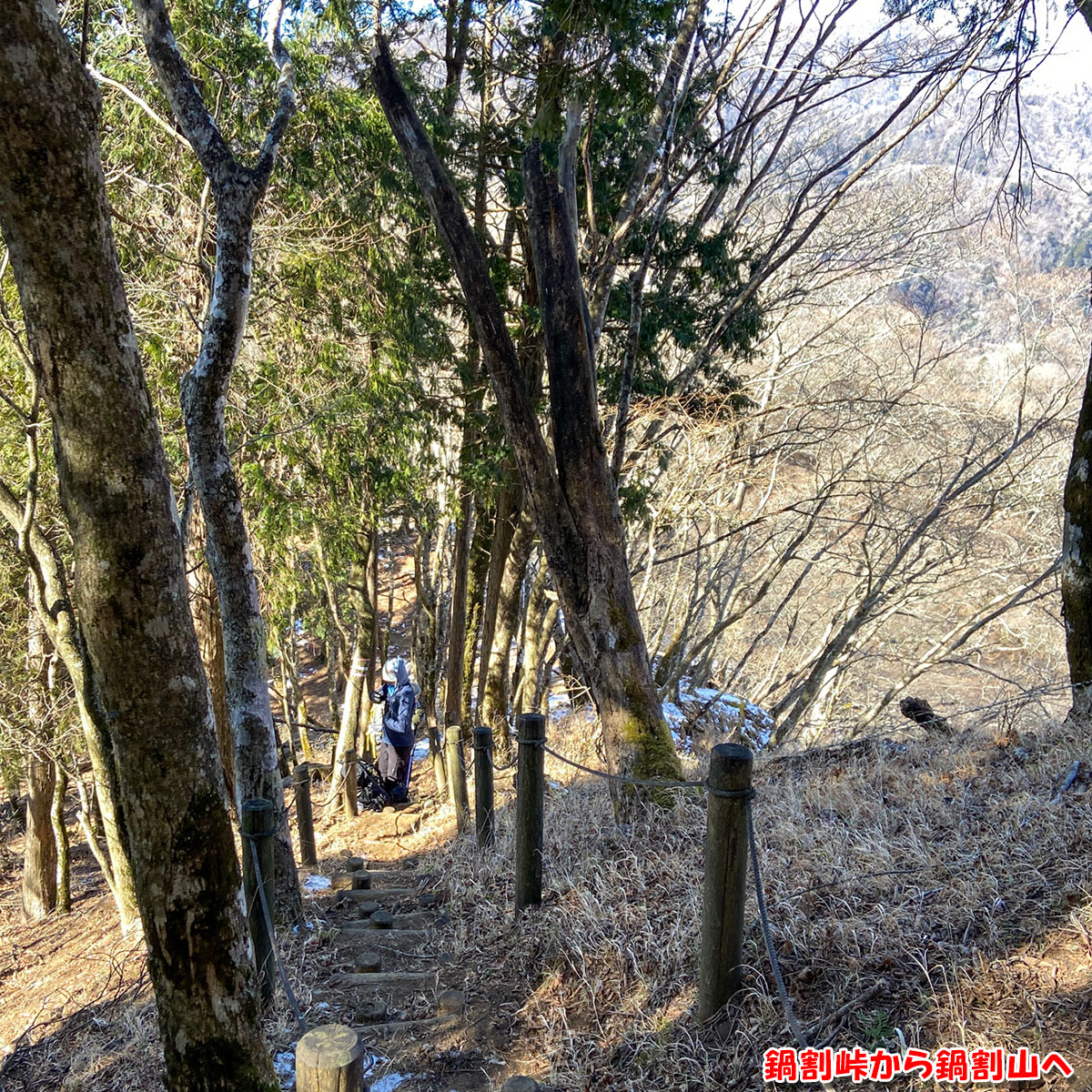 鍋割峠から鍋割山へ