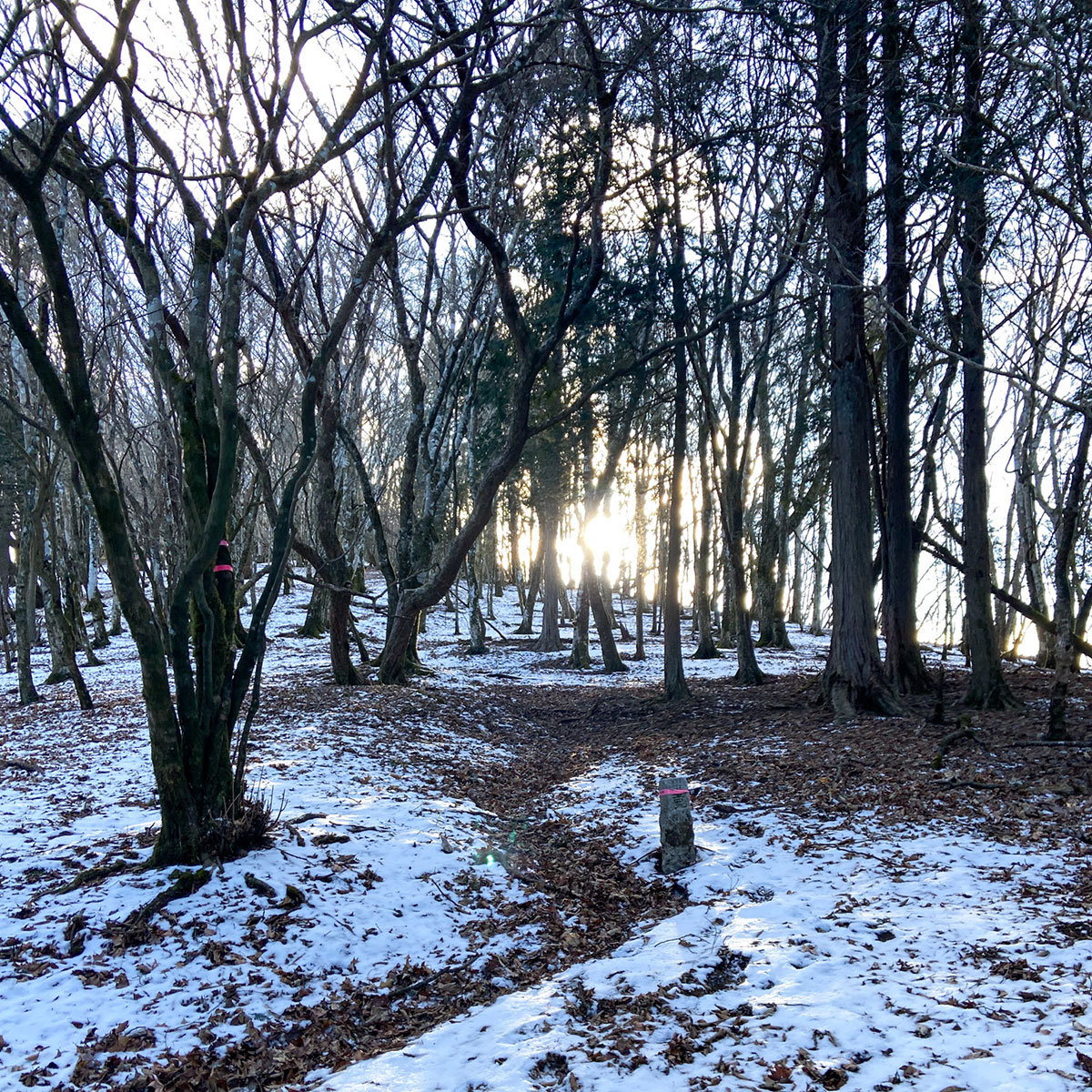 雨山峠から雨山へ