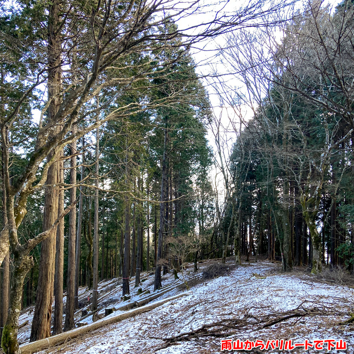 雨山からバリルートで下山